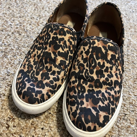 Steve Madden Cheetah Print Shoes - Picture 2 of 5